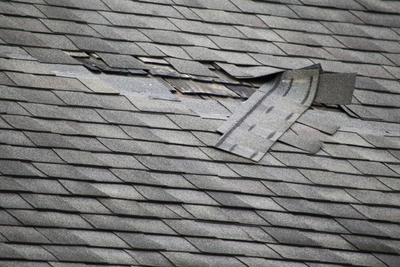 Roof Repair
